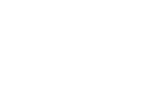 Logótipo do Museu do CNE, versão em cor branca.